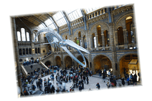 Virtual Day trip to a museum