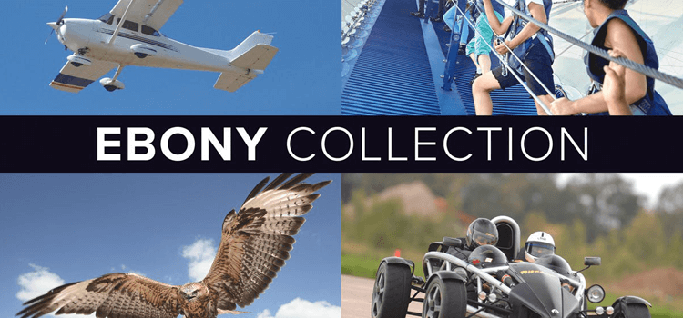 The Ebony Collection