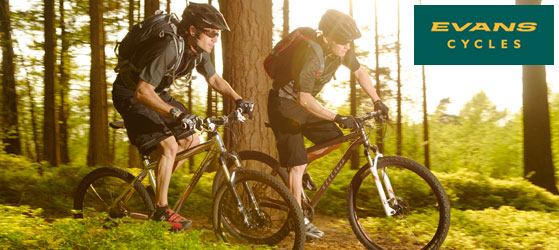 group of bikes