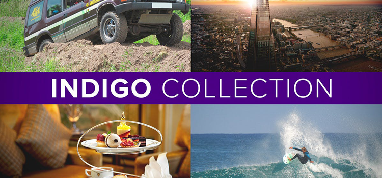 The Indigo Collection