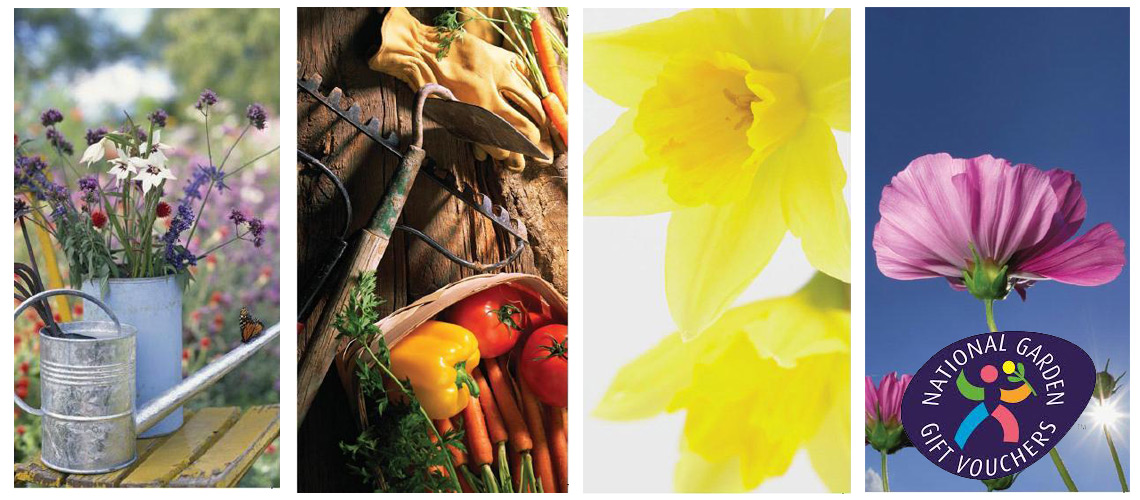 National garden gift vouchers voucher express