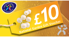gift vouchers gift cards e vouchers voucher express disneyland gift certificates